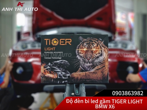 Bi Led Gầm Tiger Light