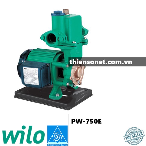 Máy bơm nước WILO PW-750E