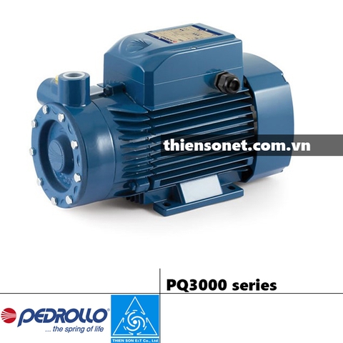 Máy bơm nước PEDROLLO PQ3000