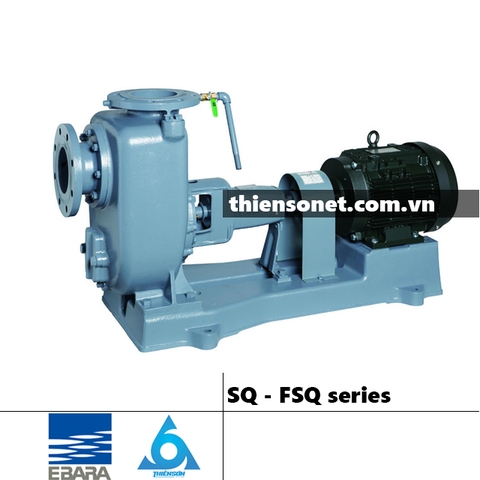 Series Máy bơm nước EBARA SQ/FSQ