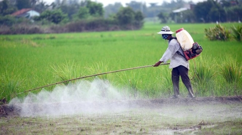 Tìm Hiểu Về Dung Môi Hữu Cơ