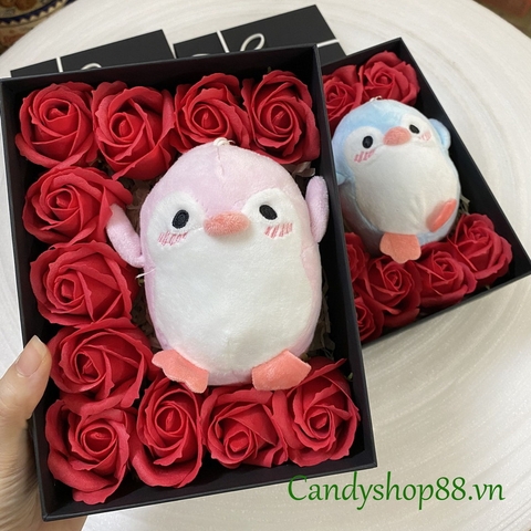 Set hộp quà hoa hồng sáp thơm 12 bông & chim cánh cụt