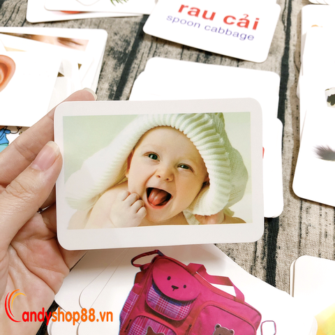 Thẻ học FlashCard Anh Việt cho bé