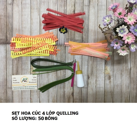 Bộ nguyên liệu làm hoa cúc 04 lớp quilling (50 bông)_QC35.1