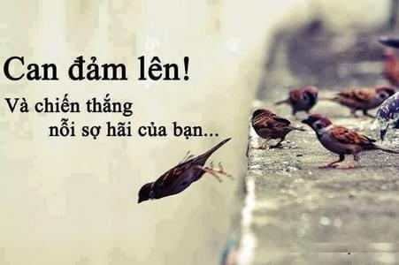 Công ty Dịch Vụ Bảo Vệ Âu Việt