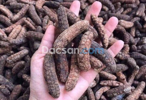 Chuối hột rừng chữa bệnh gì?