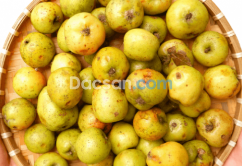 Táo mèo - Giảm cholesterol, tốt cho hệ tiêu hóa