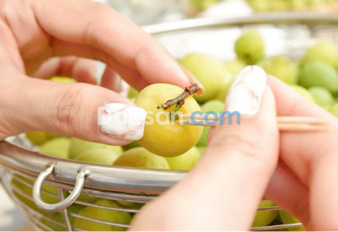 Hướng dẫn làm mơ ngâm đường ngọt tuyệt, không nổi váng!