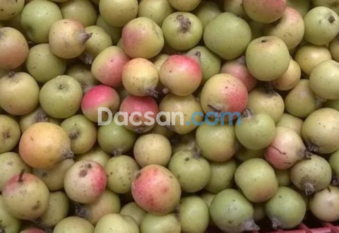 TÁO MÈO - TOP NHỮNG LOẠI TRÁI CÂY NGÂM RƯỢU NGON KHÓ CƯỠNG