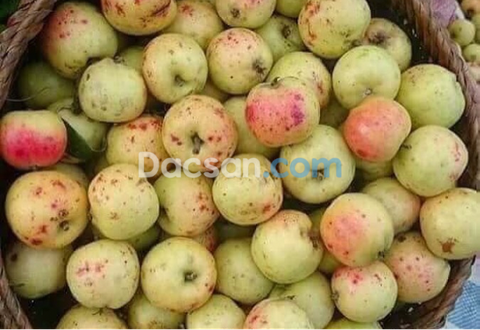 Cách chọn táo mèo tươi ngon nhất