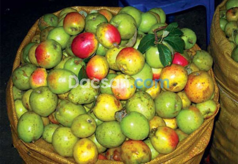 Quả táo mèo - Top 50 trái cây đặc sản nổi tiếng Việt Nam