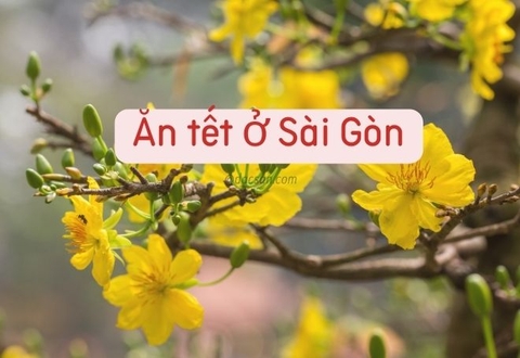 Tết ở Sài Gòn – Ăn gì cho ngon, mới lạ và độc đáo?