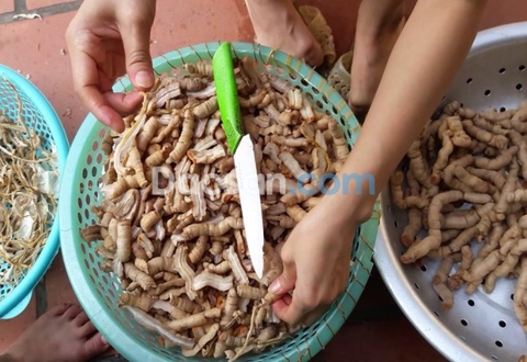 Địa chỉ bán ba kích tại TP Hồ Chí Minh