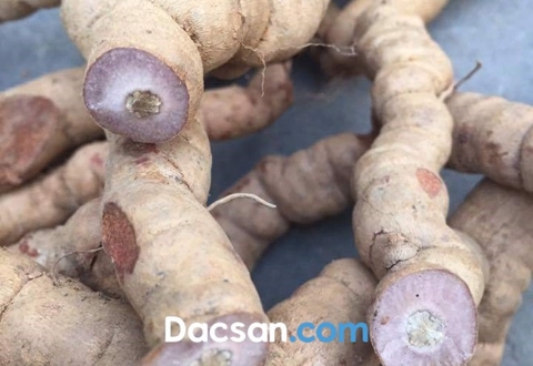 Chinh phục bạn đời nhờ ba kích tím