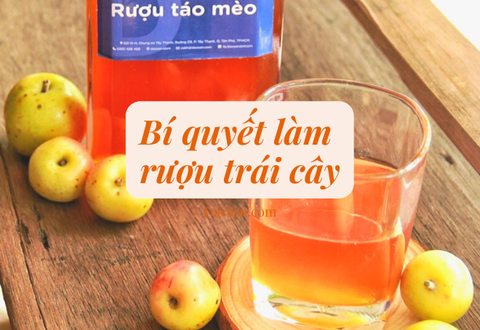 Bí quyết làm rượu trái cây uống ngon bất bại