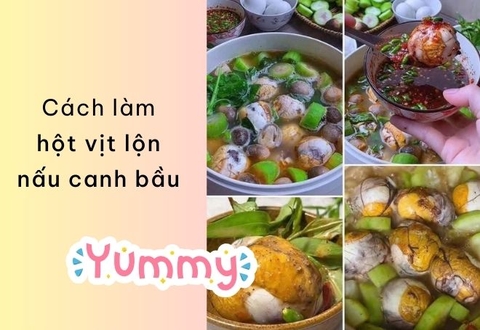 Cách làm hột vịt lộn nấu canh bầu – Món ngon dân dã, bổ dưỡng