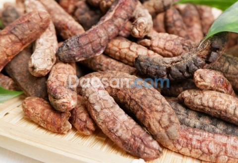 Chuối hột rừng – Siêu phẩm thiên nhiên dành tặng cả nhà!