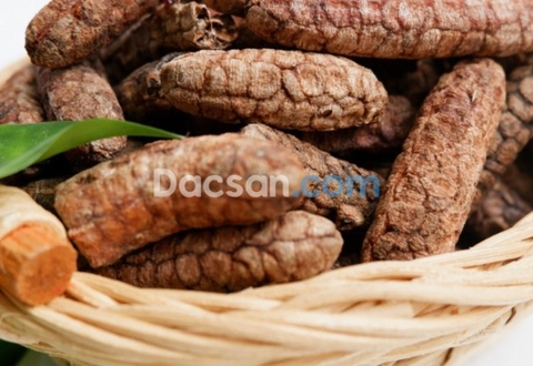 Bán chuối hột rừng Tây Nguyên tại TP Hồ Chí Minh