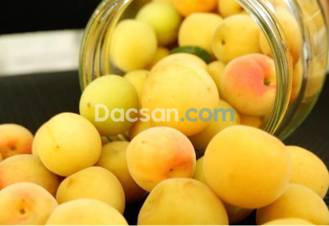 Lợi ích của trái mơ trong việc làm đẹp da và kéo dài thanh xuân