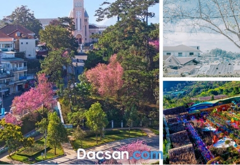 Đà Lạt tháng 3 có gì đẹp?