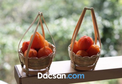 Hồng treo gió bán sỉ tại TP Hồ Chí Minh