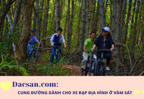 Trải nghiệm xe đạp địa hình trong rừng Vàm Sát Cần Giờ