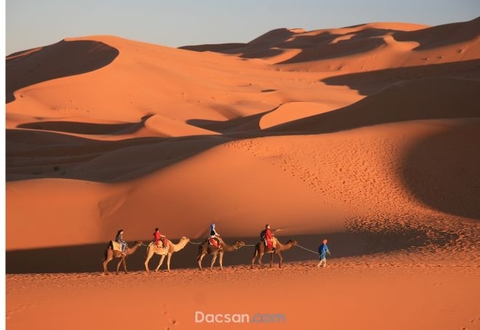 Morocco “gây bão” tại World Cup 2022 là quốc gia ở đâu? Có điều gì đặc biệt?