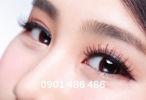 Dầu dừa đánh tan quầng thâm mắt hiệu quả