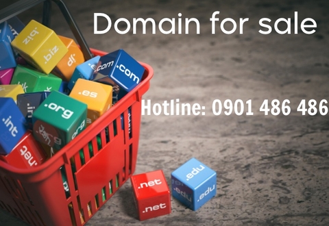 Đầu tư tên miền - cơ hội sinh lời cho các doanh nghiệp hiện nay