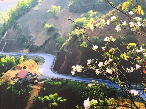 Tháng 4 đi du lịch ở đâu đẹp nhất?