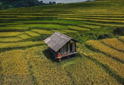 Nậm Cang ở đâu? Kinh nghiệm du lịch mùa lúa chín 2023
