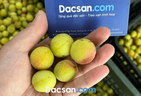 Giá quả mơ bao nhiêu? Công dụng và cách chế biến ra sao?