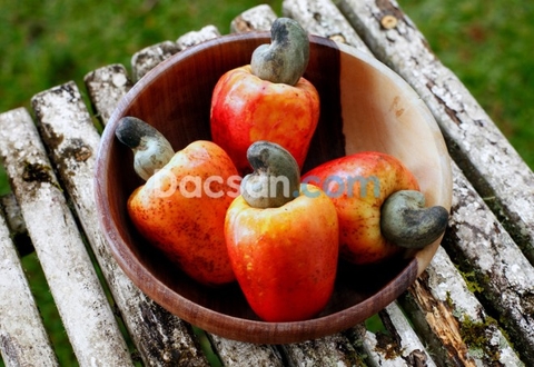 Cách tách vỏ hạt điều thô