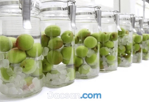 Hướng dẫn ngâm rượu mơ Umeshu Nhật Bản chuẩn vị