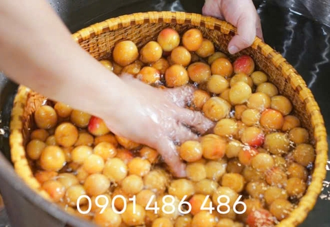 Quả mơ ngâm rượu là đồ uống đặc biệt thú vị