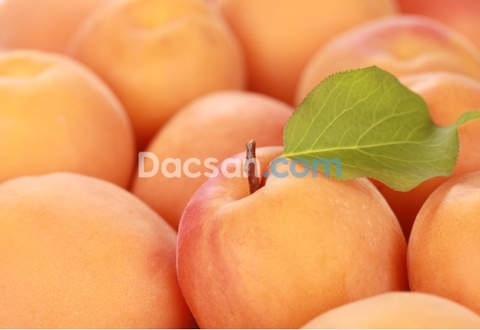 Ăn quả mơ có tác dụng gì?