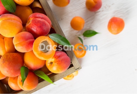 Tác dụng của trái cây ngâm rượu