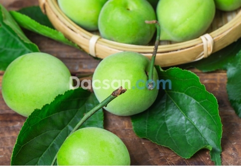 Quả mơ có tác dụng gì?