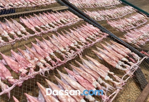 Phân biệt mực một nắng loại xịn và loại rởm