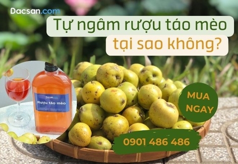 Ngâm rượu táo mèo như thế nào để uống êm ngon, ngọt thơm?