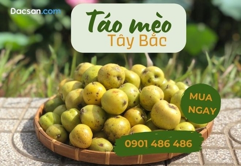 Quả táo mèo mùa 2025 tại TP Hồ Chí Minh