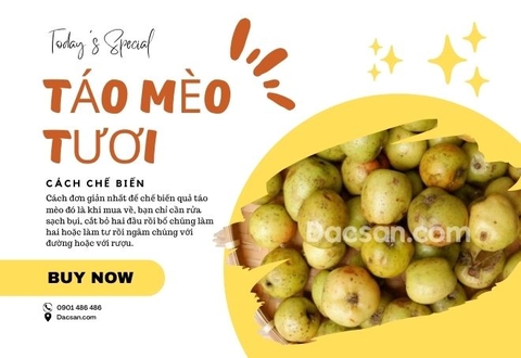 Mùa táo mèo tươi 2025 đã về và đây là tất tần tật các thông tin về loại quả này