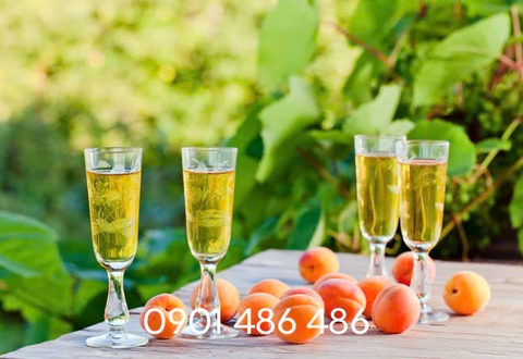 Rượu biếu tết Sài Gòn, nên mua loại nào?