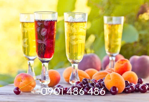 Rượu trái cây – Món quà biếu tết có vị ngon ai cũng mê