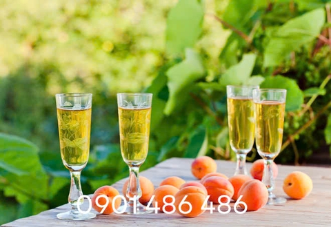 Bí quyết ngâm rượu mơ Tây Bắc cực ngon!