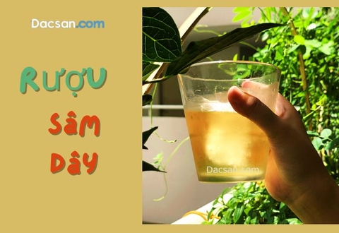 Rượu sâm dây Dacsan.com – Đồ uống hấp dẫn các quý ông