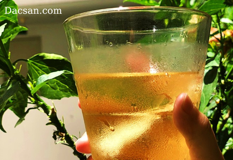 Rượu sâm dây – Tuyệt tác đồ uống từ núi rừng