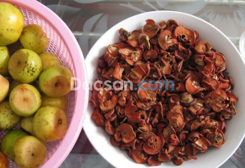 ĐIỀU TRỊ CAO HUYẾT ÁP BẰNG TÁO MÈO