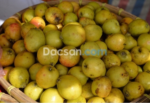 TÁO MÈO “TẨY” CHẤT BÉO THỪA HIỆU QUẢ