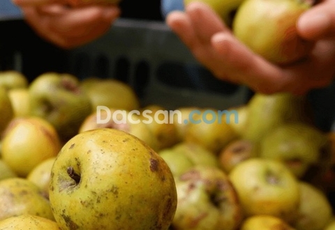 Vì sao quý khách nên mua đặc sản tại Dacsan.com?